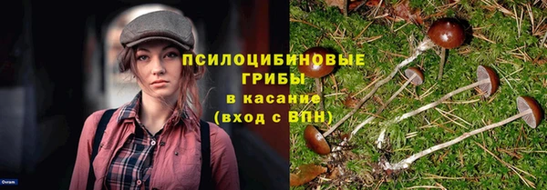 ALPHA PVP Алексеевка