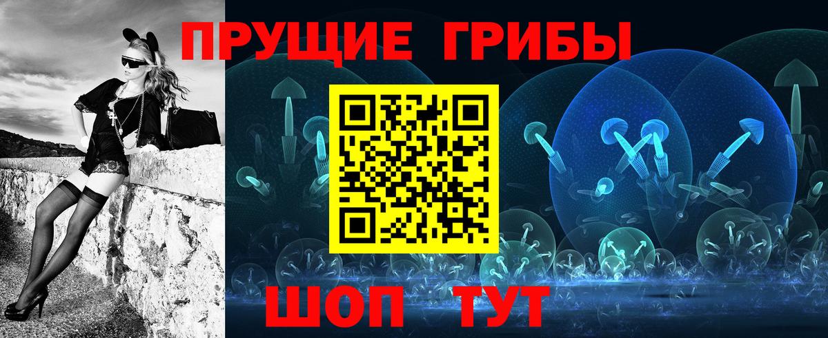 купить   Вход с VPN  Псилоцибиновые грибы Magic Shrooms  Богородск  Галлюциногенные грибы Psilocybine cubensis 